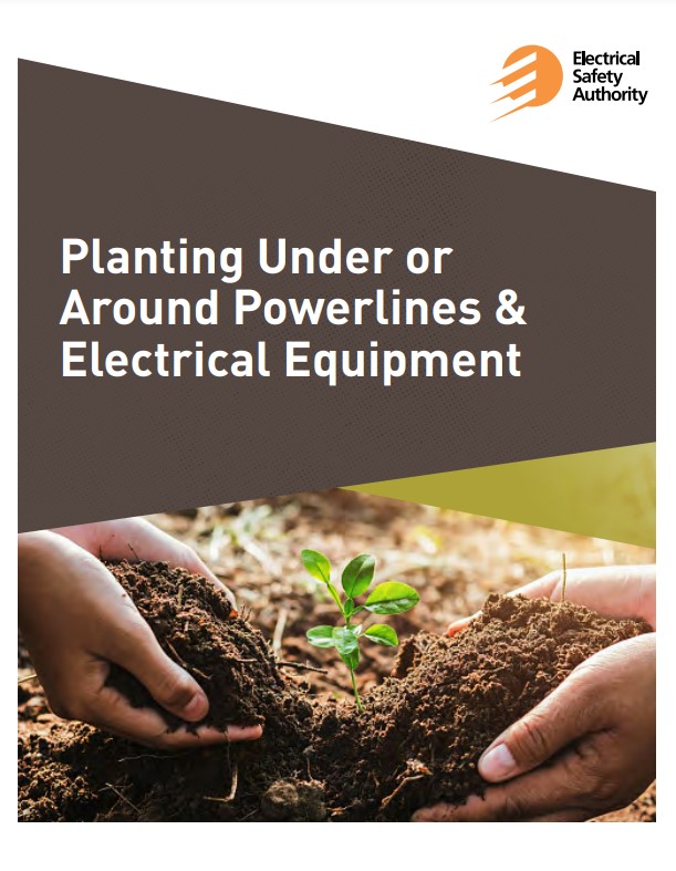 Planting Under or Around Powerlines & Electrical Equipment