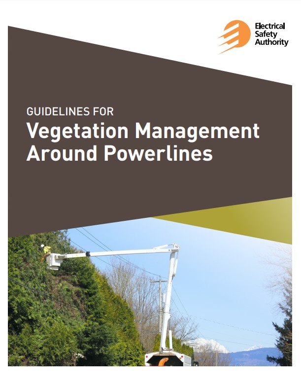 Vegetation Management Around Powerlines